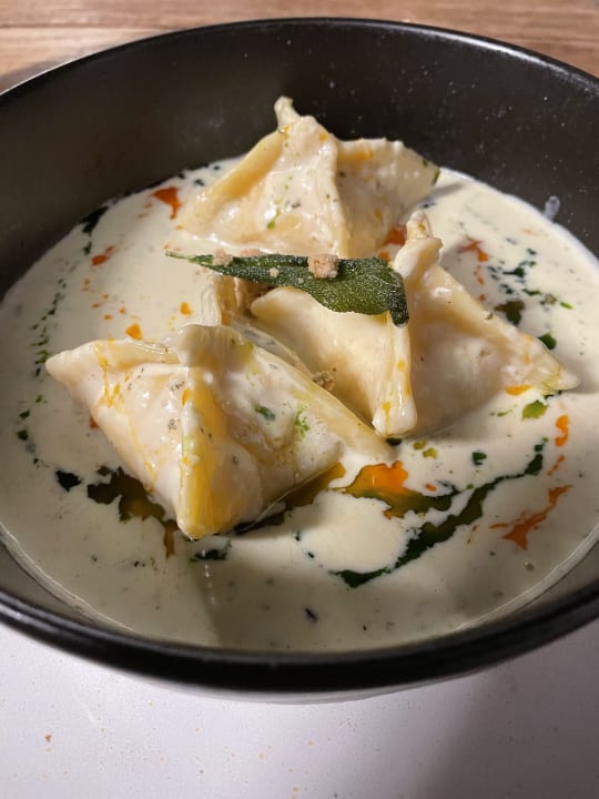 Gastro Acanthus Cennet Barut Collection