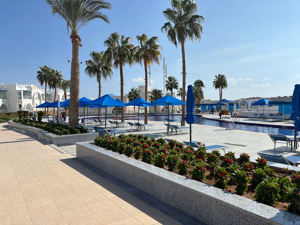 Pool Pickalbatros Palace Resort