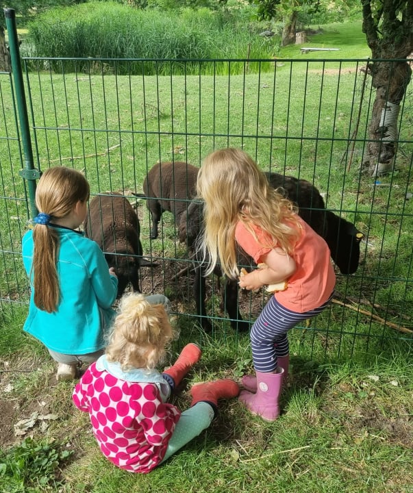 Sonstiges Ferienhof Albert