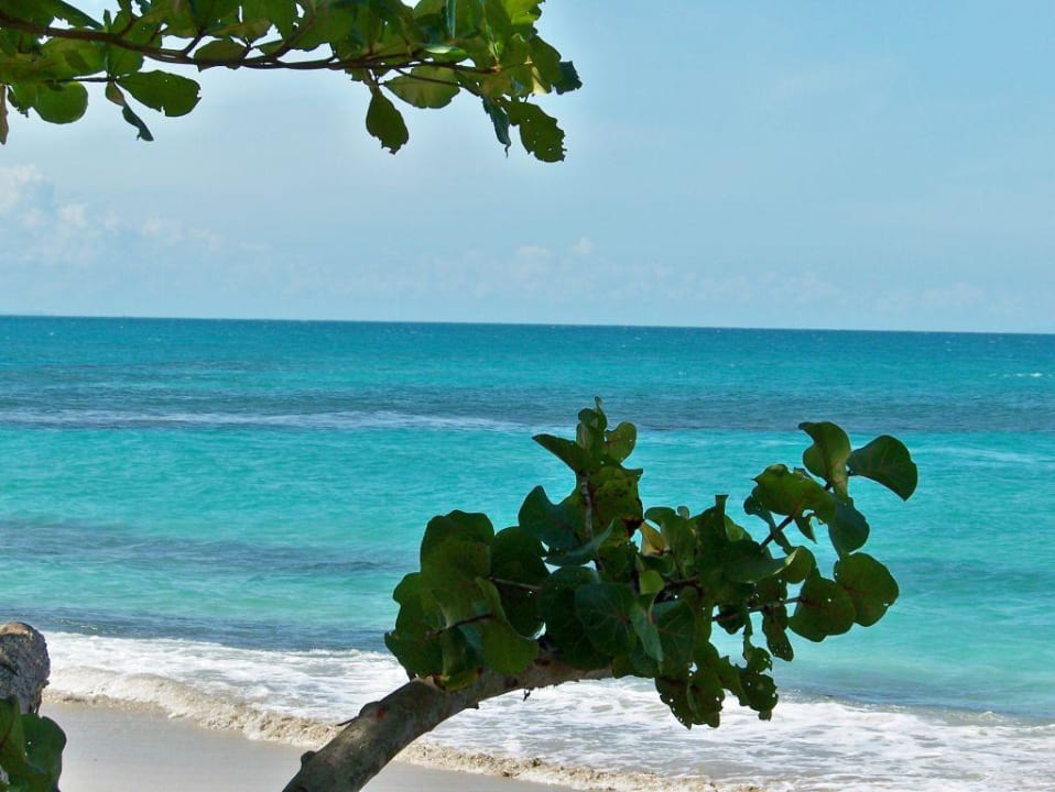 Costa Esmeralda Grand Palladium Select Bávaro Resort & Spa