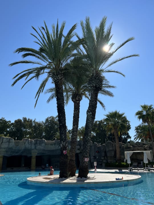 Pool Monachus Family Resort Sorgun