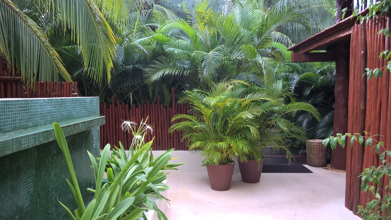 Spa-Bereich Akumal Bay Beach & Wellness Resort