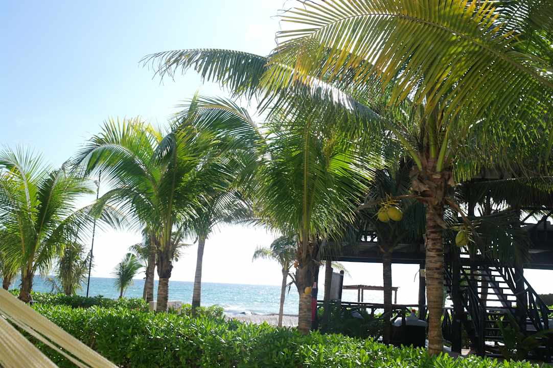 El Dorado Royale El Dorado Royale