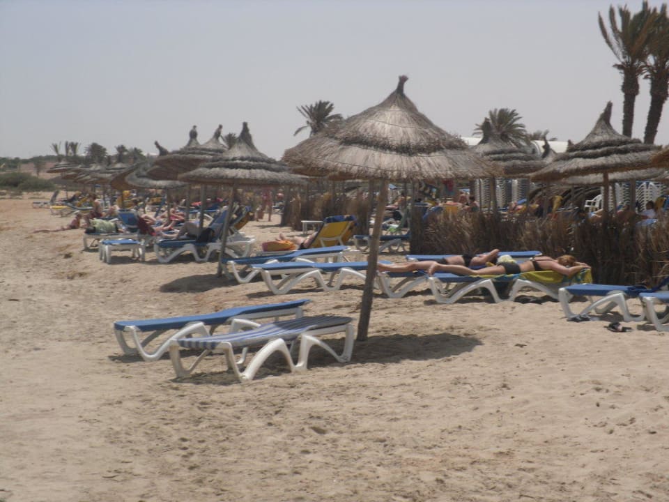 Beach Vincci Safira Palms
