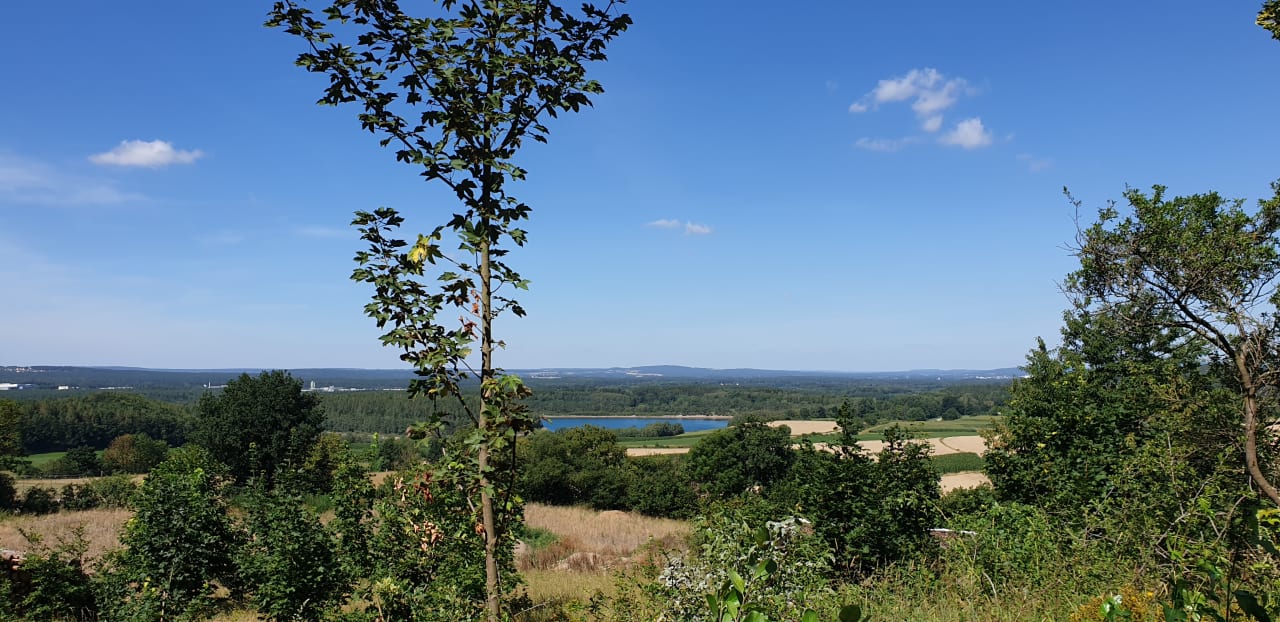 Ausblick Der Birkenhof - Spa & Genuss Resort