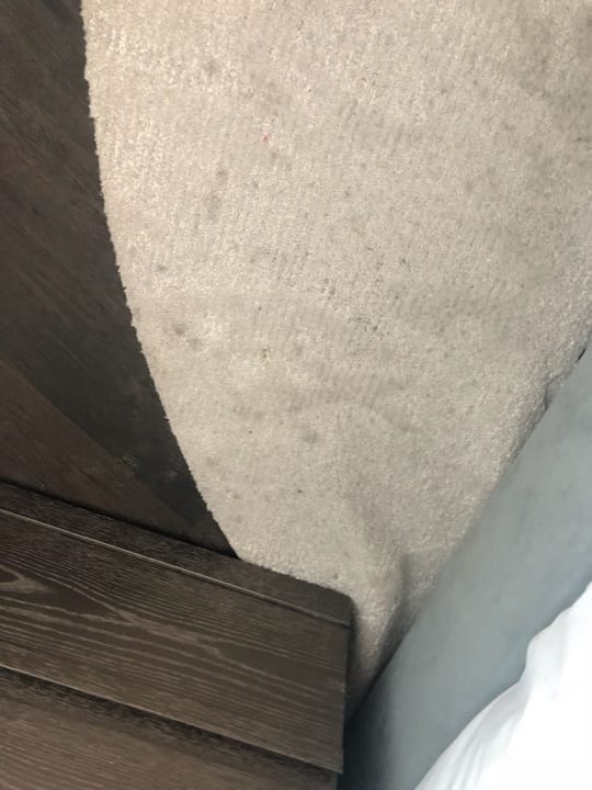 Zimmer Radisson Blu Hotel Istanbul Ottomare