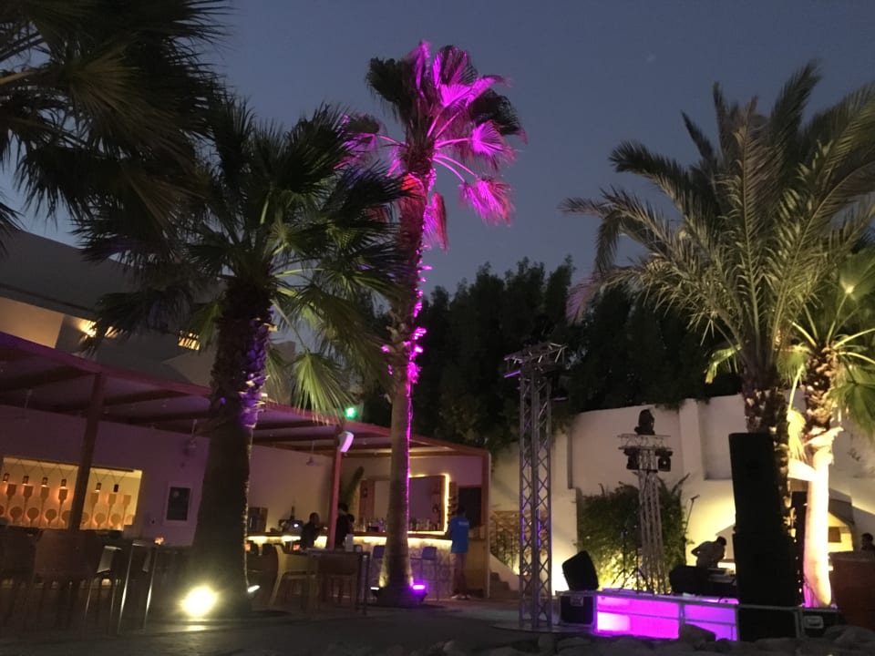 Gastro Fort Arabesque Resort, Spa & Villas