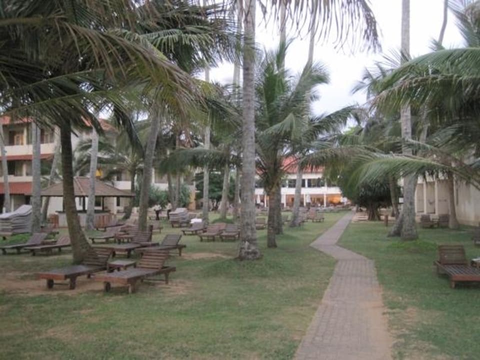 Palmengarten Mermaid Hotel & Club