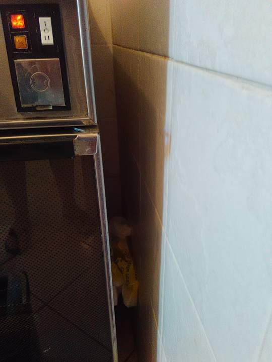 Zimmer Apartments in Marina Di Bibbona