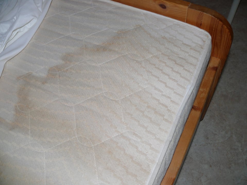 Matraze Camping- und Ferienpark Markgrafenheide