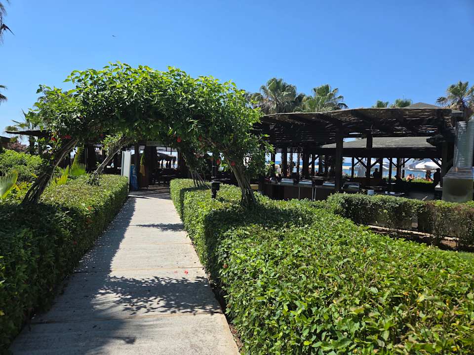 Gartenanlage Royal Atlantis Beach Hotel