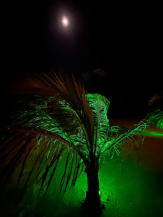 Strand Cocoon Maldives