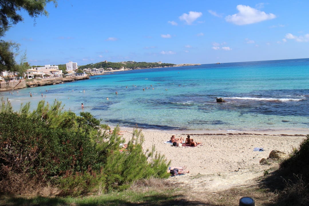 Schöne Buch vor dem Hotel Son Moll Sentits Hotel & Spa