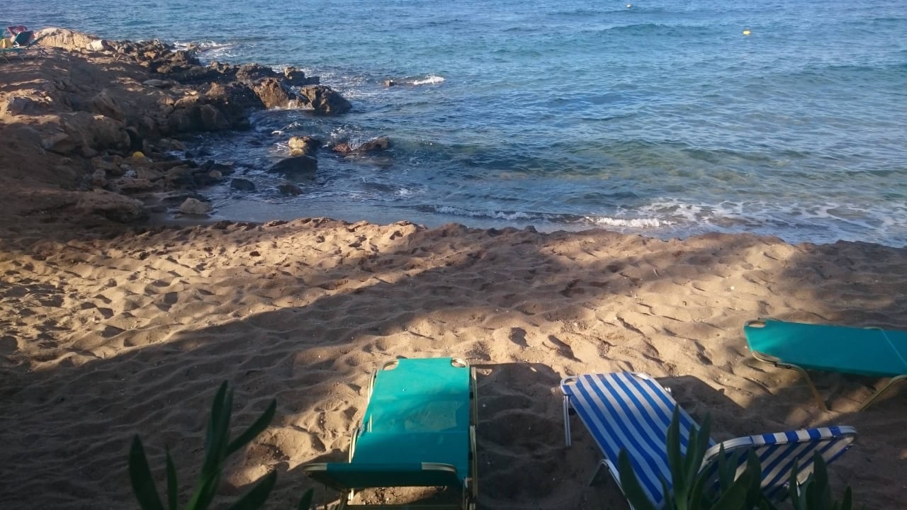 Stets freie Liegen Hotel Corali Beach