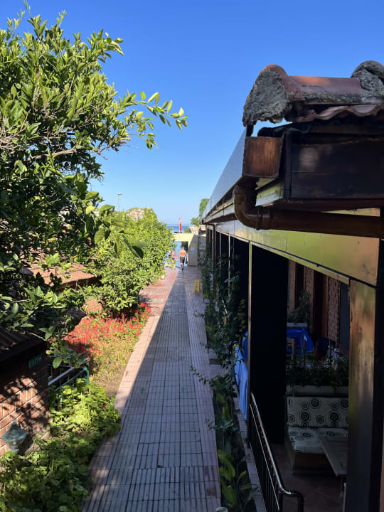 Gartenanlage Can Garden Beach