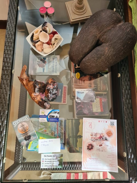 Zimmer Fler Payanke Apartment