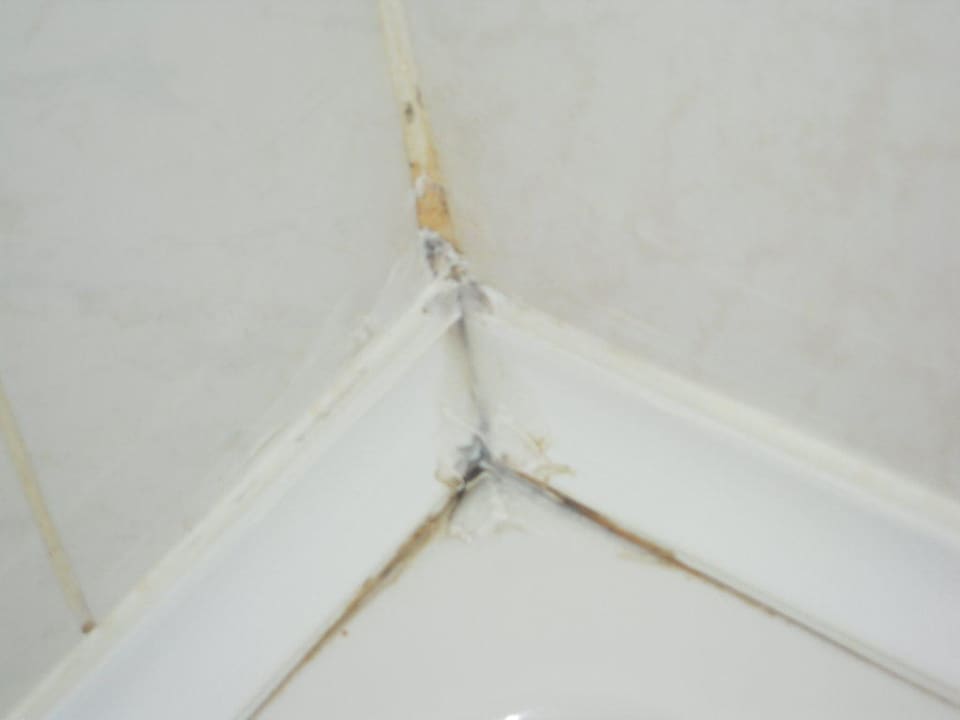 Dusche (Schimmel und sonstiges) Club Hotel Pineta