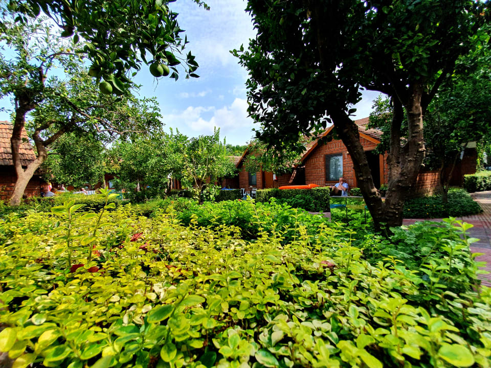 Gartenanlage Can Garden Beach