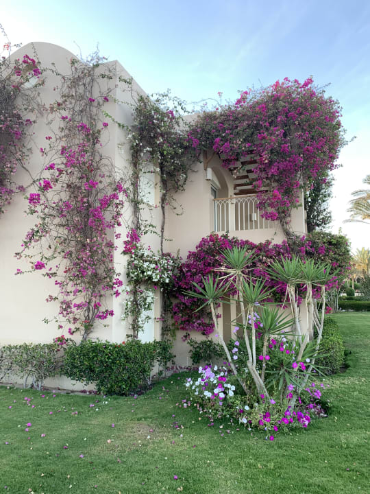 Gartenanlage TUI MAGIC LIFE Kalawy