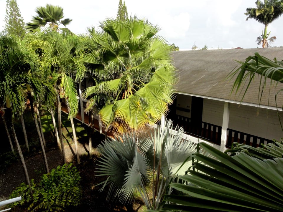 Innenhöfe der Hotelgebäude La Creole Beach Hotel & Spa