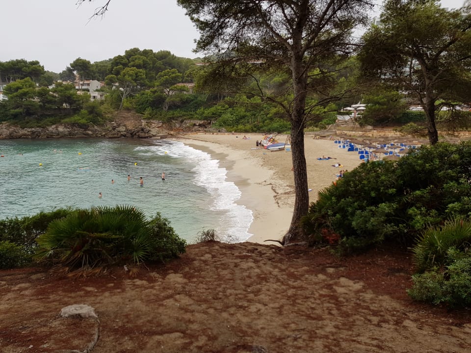 Strand Iberostar Waves Pinos Park