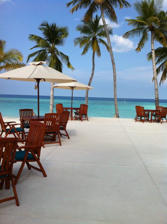 Hotel Veligandu Island Resort Veligandu Maldives Resort Island