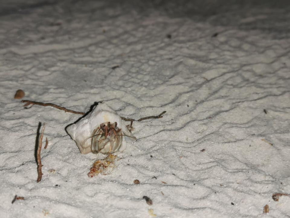 Strand Kuredu Island Resort & Spa