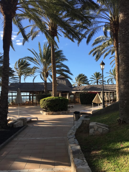 Gartenanlage SBH Costa Calma Beach Resort