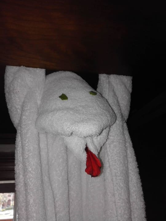 Der Affe im Zimmer Jaz Grand Marsa