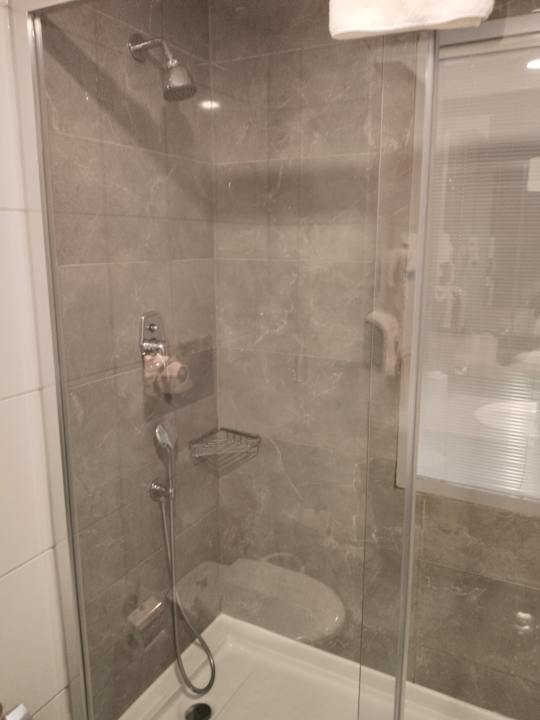 Zimmer AQI Pegasos Royal