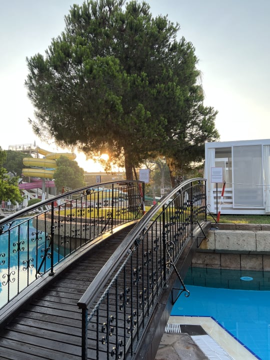 Pool Papillon Ayscha