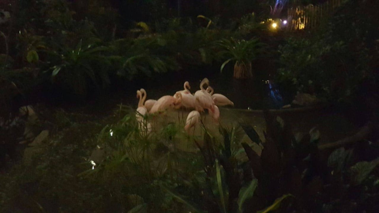 Regenwald Tropical Islands Resort