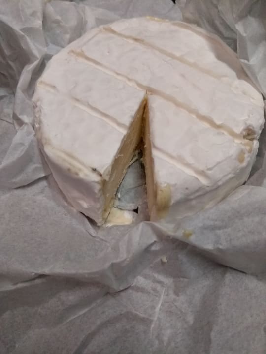 Gastro Kavaliershaus Suitehotel am Finckener See