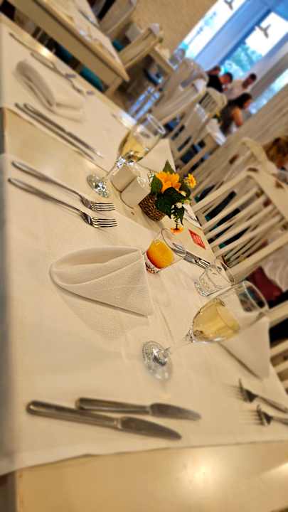 Gastro Sentido Marea