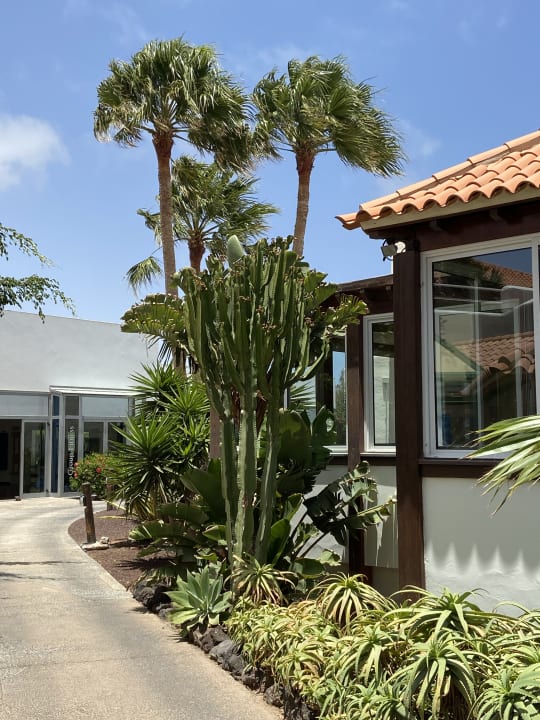 Gartenanlage ROBINSON ESQUINZO PLAYA