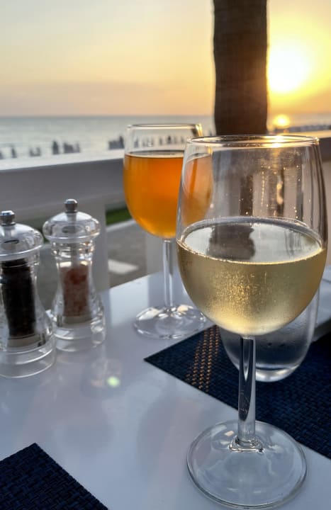 Gastro Acanthus Cennet Barut Collection