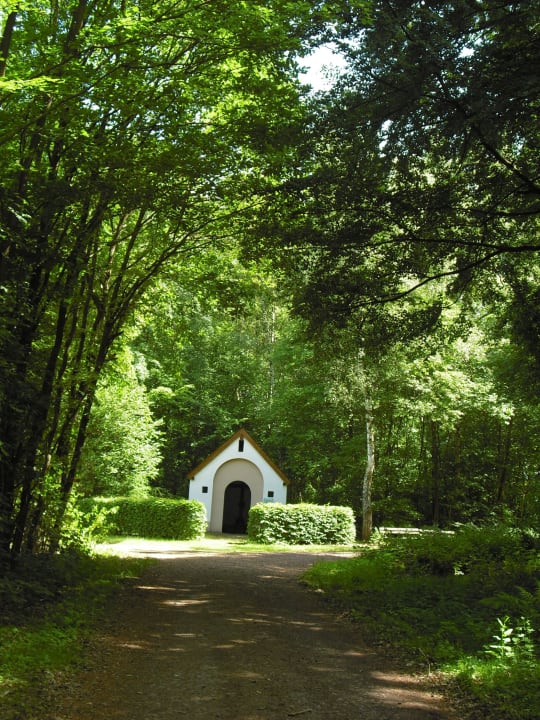 Kleines Idyll auf einem Rundweg Ferienwohnung Haus Kotthoff