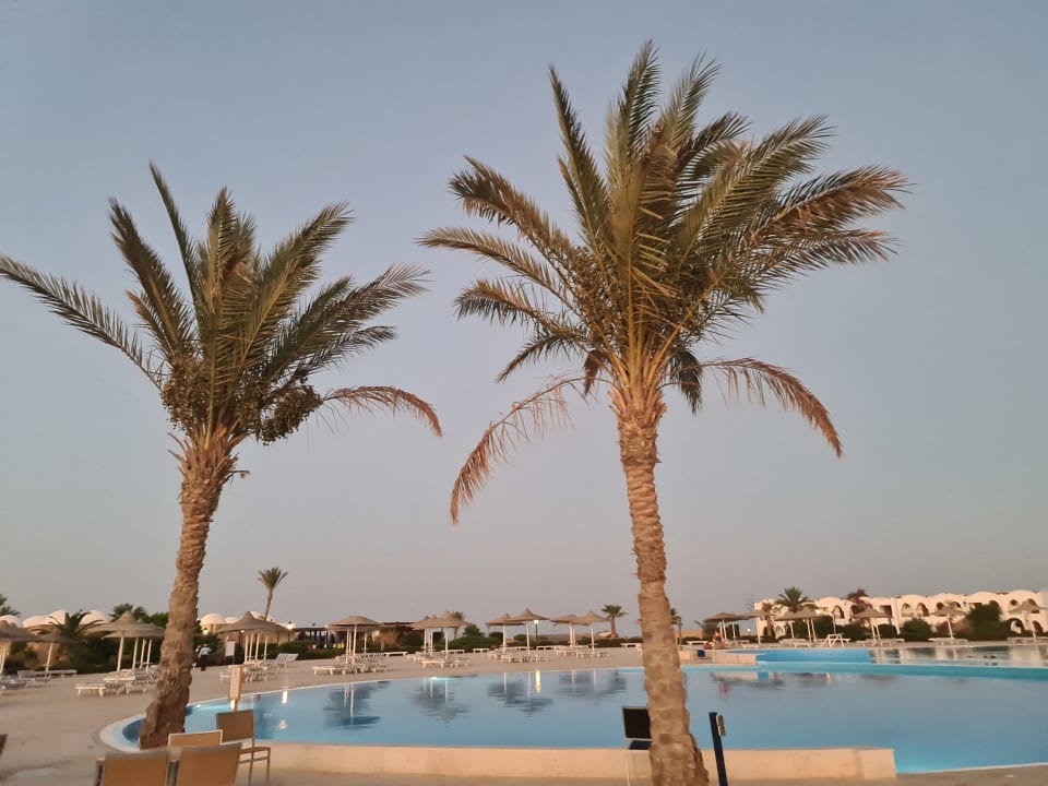 Pool Hotel Gorgonia Beach Resort