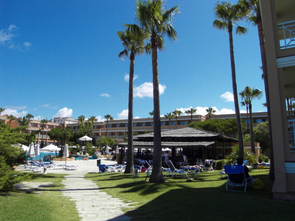 Bar am Pool Hipotels Playa la Barrosa