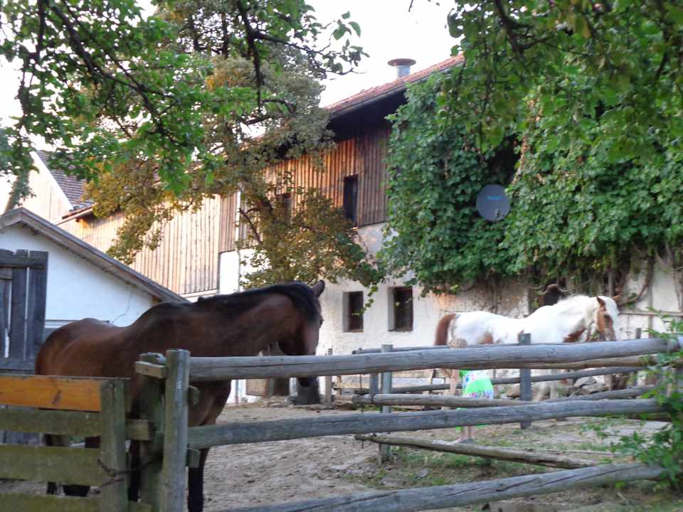 Pferde Ferienhof Breu