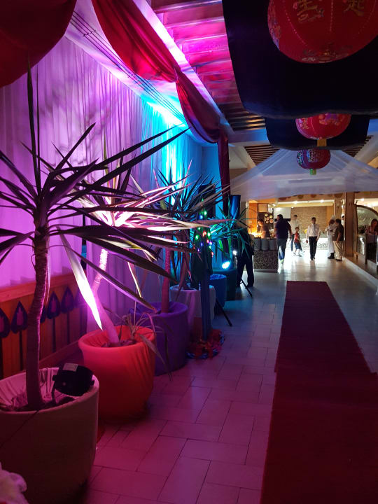 Restaurant  Hotel Paradis Palace