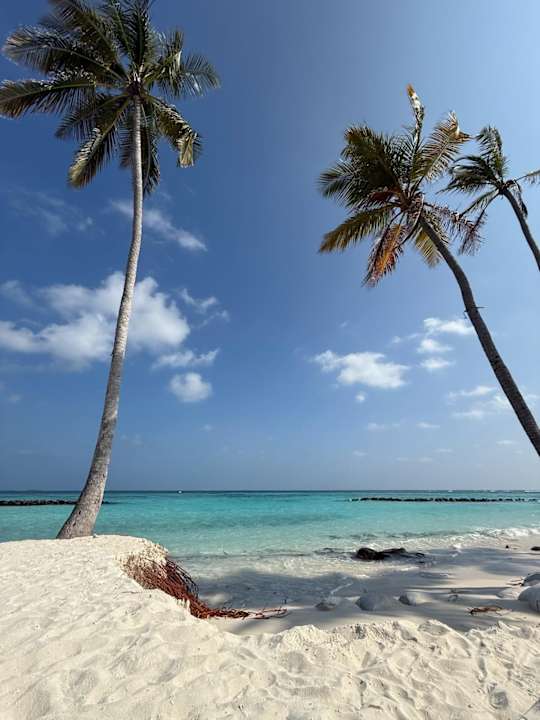 Strand Alila Kothaifaru Maldives