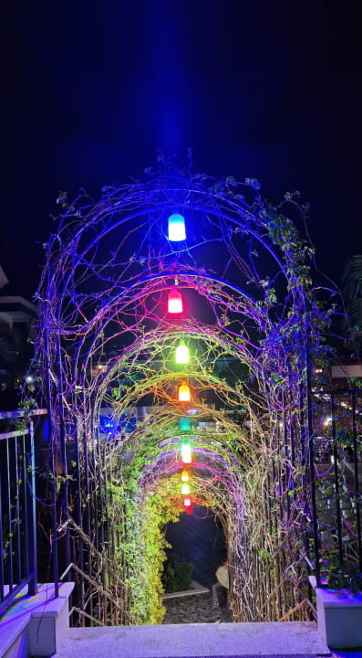 Gartenanlage Dream World Palace Hotel