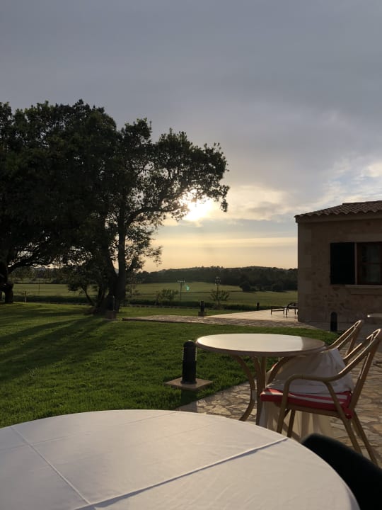 Gastro Finca Son Roig