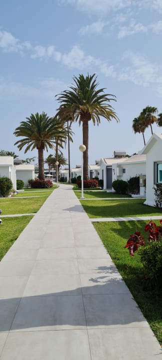 Gartenanlage Canary Garden Club