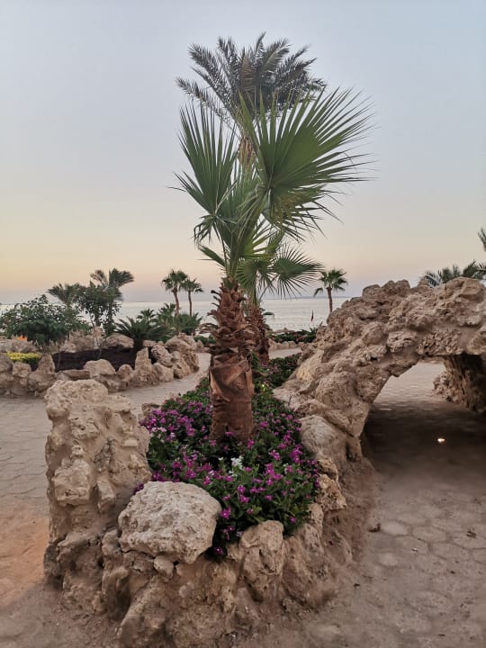 Gartenanlage Pickalbatros Citadel Resort