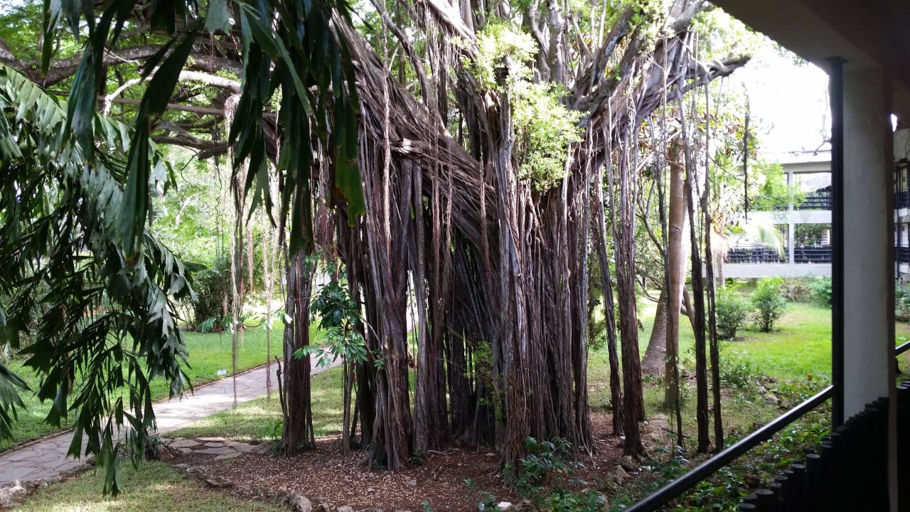 Hotel Baobab Beach Resort Baobab Beach Resort & Spa