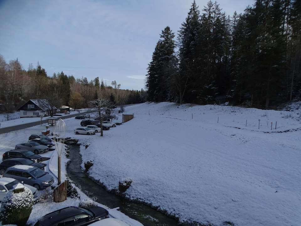 Ausblick Nationalpark - Hotel Waldsägmühle