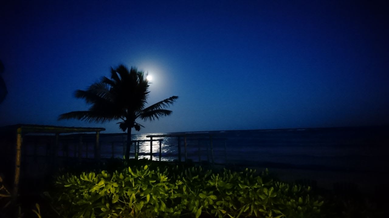 Strand Akumal Bay Beach & Wellness Resort