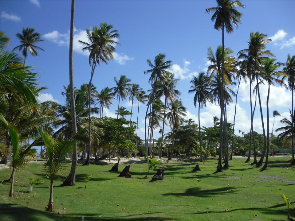 Palmengarten Villas Bavaro Resort & Spa